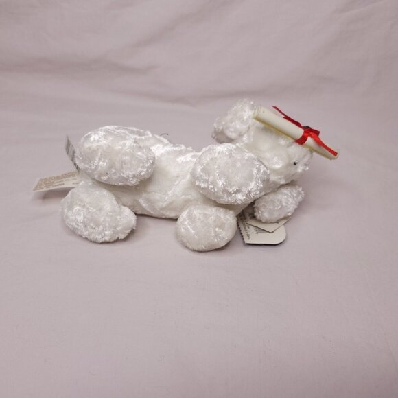 Dan Dee Collectors Choice Graduation Dog Plush White With Cap  Diploma - Picture 5 of 6